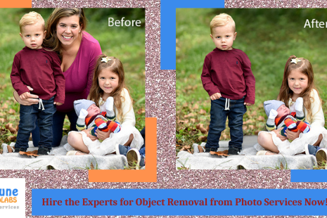 object removal from photo services